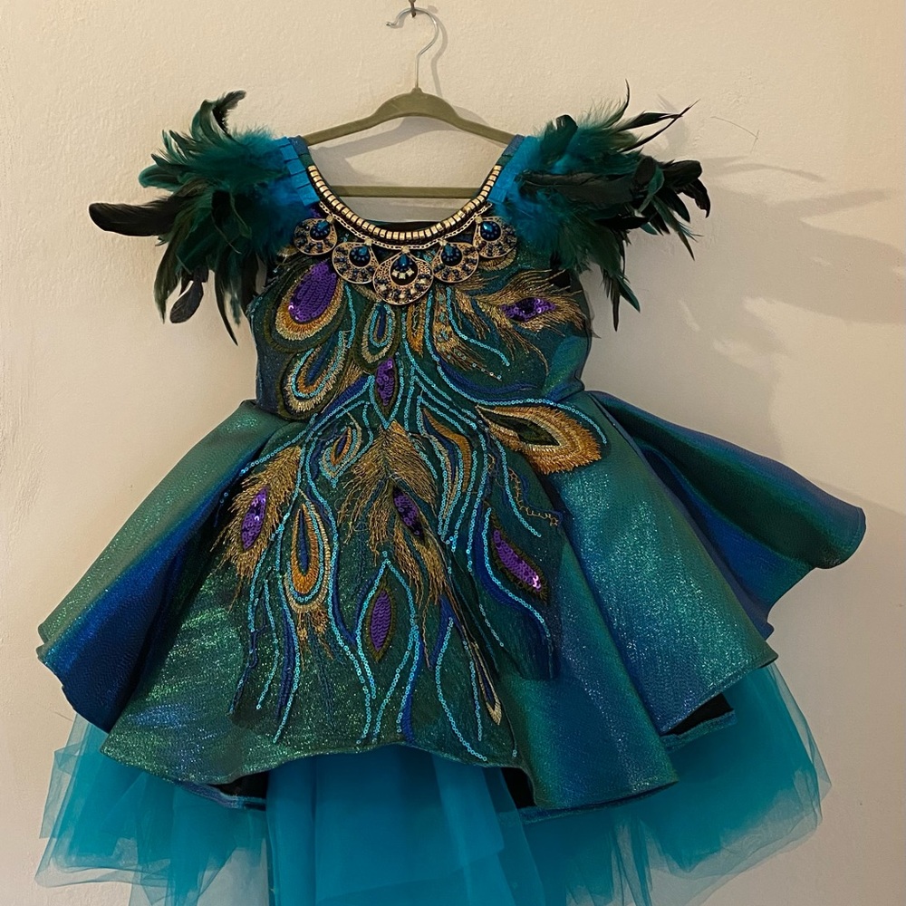 Peacock feather girl Birthday, Halloween or pageant tutu dresses gowns